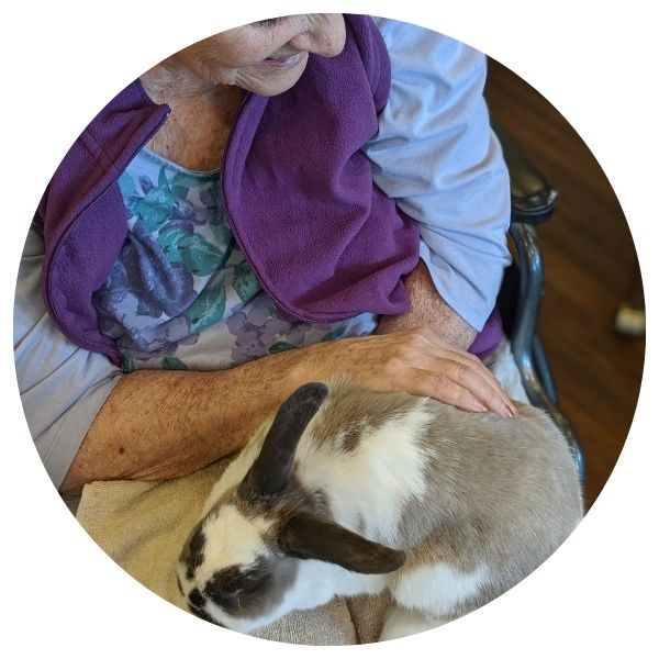 Bunny Circle Image
