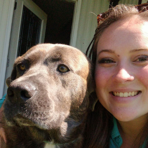 Animals as Natural Therapy Staff & Board