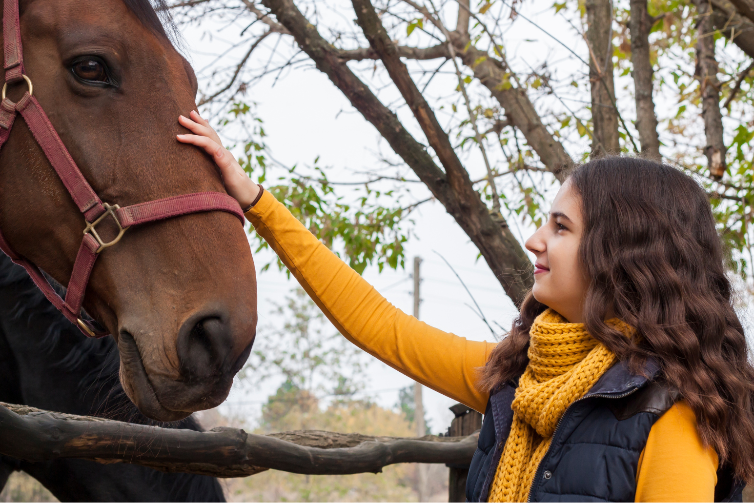 Young Adult Equine Workshop