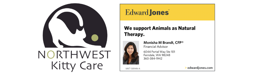 Sponsors header 2