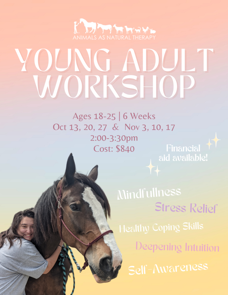 Young Adult Workshop Animals as Natural Therapy